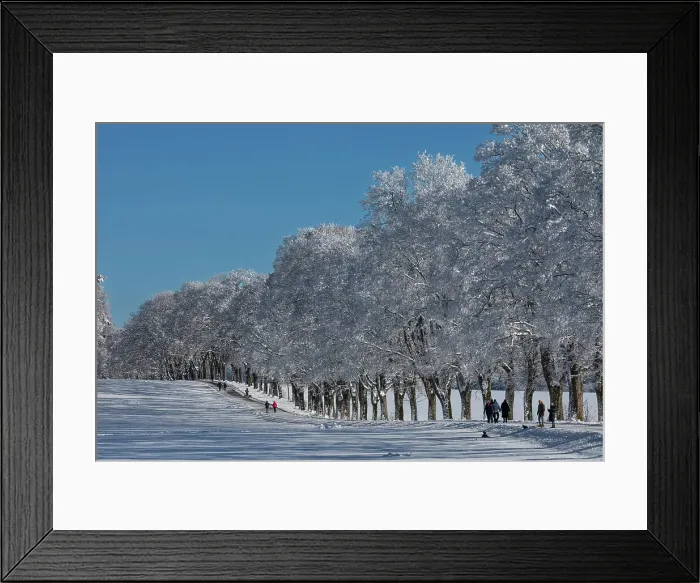 Framed Print : Alley of trees in winter, Swabian Jura, Baden-Wurttemberg, Germany, Europe Framed Print : Alley of trees in winter, Swabian Jura, Baden-Wurttemberg, Germany, Europe