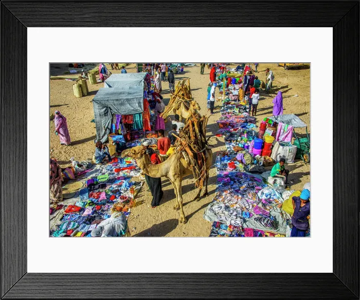 Framed Print : Camel loaded with firewood walking through the colourful Monday market of Keren, Eritrea, Africa