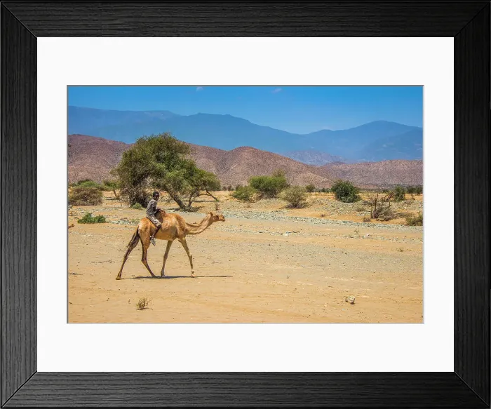 Framed Print : Boy riding on a camel in the lowlands of Eritrea, Africa Framed Print : Boy riding on a camel in the lowlands of Eritrea, Africa