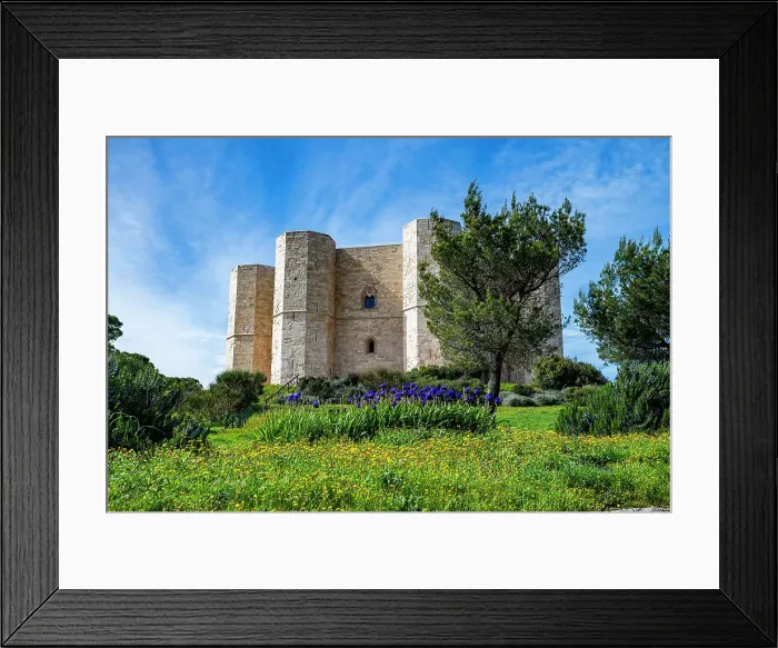 Framed Print : Castel del Monte, UNESCO World Heritage Site, Apulia, Italy, Europe Framed Print : Castel del Monte, UNESCO World Heritage Site, Apulia, Italy, Europe