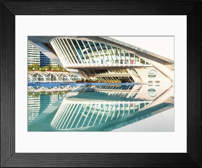 Framed Print : Palau de les Arts Reina Sofia (Palacio de las Artes Reina Sofia) (Queen Sofia Palace of the Arts), Ciudad de las Artes y las Ciencias (City of Arts and Sciences), Valencia, Spain, Europe Framed Print : Palau de les Arts Reina Sofia (Palacio de las Artes Reina Sofia) (Queen Sofia Palace of the Arts), Ciudad de las Artes y las Ciencias (City of Arts and Sciences), Valencia, Spain, Europe