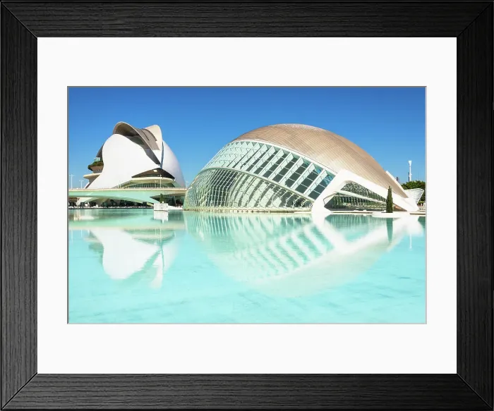 Framed Print : Reflections of Palau de les Arts Reina Sofia (Queen Sofia Palace of the Arts) and Museu de les Ciencies Principe Felipe (Principe Felipe Science Museum) of Ciudad de las Artes y las Ciencias (City of Arts and Sciences), Valencia, Spain, Europe Framed Print : Reflections of Palau de les Arts Reina Sofia (Queen Sofia Palace of the Arts) and Museu de les Ciencies Principe Felipe (Principe Felipe Science Museum) of Ciudad de las Artes y las Ciencias (City of Arts and Sciences), Valencia, Spain, Europe
