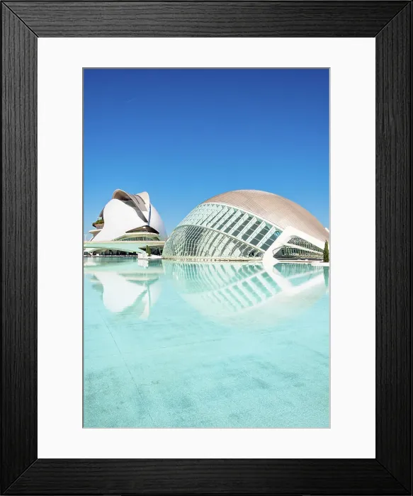 Framed Print : Reflections of Palau de les Arts Reina Sofia (Queen Sofia Palace of the Arts) and Museu de les Ciencies Principe Felipe (Principe Felipe Science Museum) of Ciudad de las Artes y las Ciencias (City of Arts and Sciences), Valencia, Spain, Europe Framed Print : Reflections of Palau de les Arts Reina Sofia (Queen Sofia Palace of the Arts) and Museu de les Ciencies Principe Felipe (Principe Felipe Science Museum) of Ciudad de las Artes y las Ciencias (City of Arts and Sciences), Valencia, Spain, Europe