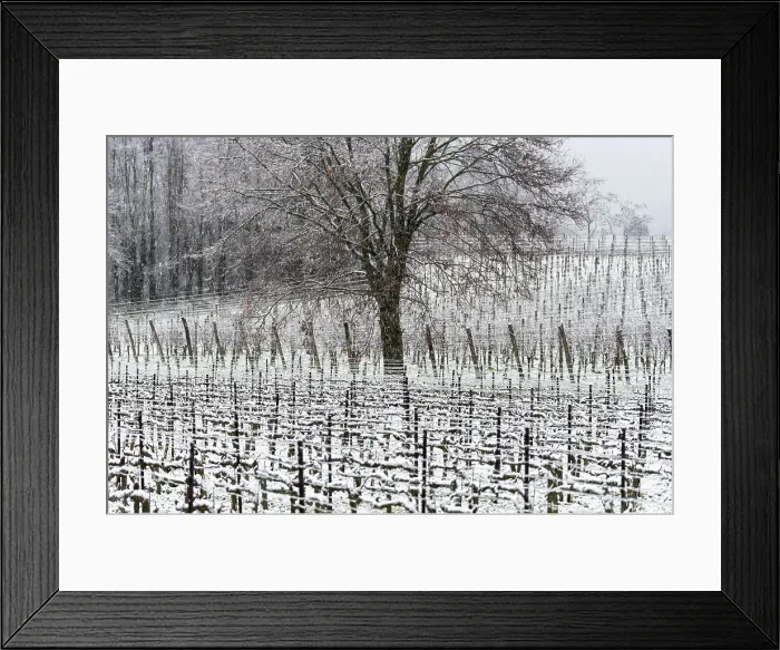 Framed Print : Winter Landscape in Franciacorta Country area, Brescia province, Lombardy, Italy, Europe Framed Print : Winter Landscape in Franciacorta Country area, Brescia province, Lombardy, Italy, Europe