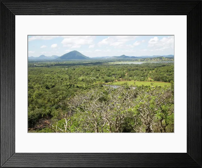 Framed Print : Flat plains landscape near Dambulla, Sri Lanka, Asia Framed Print : Flat plains landscape near Dambulla, Sri Lanka, Asia