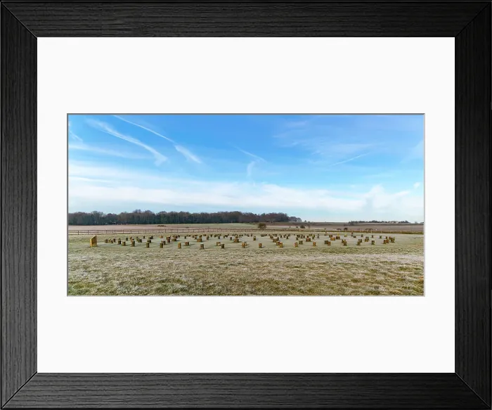 Framed Print : Frosty cold weather and posts of Neolithic henge site, Woodhenge, Wiltshire, England, United Kingdom, Europe Framed Print : Frosty cold weather and posts of Neolithic henge site, Woodhenge, Wiltshire, England, United Kingdom, Europe