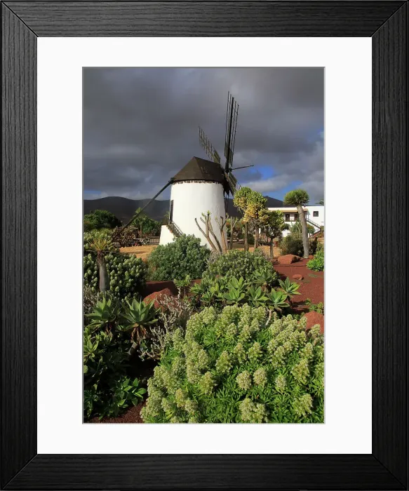 Framed Print : Windmill and garden at Centro de Artesania Molinos de Antigua, Fuerteventura, Canary Islands, Spain, Atlantic, Europe Framed Print : Windmill and garden at Centro de Artesania Molinos de Antigua, Fuerteventura, Canary Islands, Spain, Atlantic, Europe