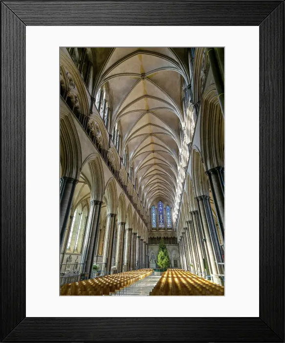 Framed Print : Vaulted nave ceiling roof inside Cathedral, Salisbury, Wiltshire, England, United Kingdom, Europe Framed Print : Vaulted nave ceiling roof inside Cathedral, Salisbury, Wiltshire, England, United Kingdom, Europe