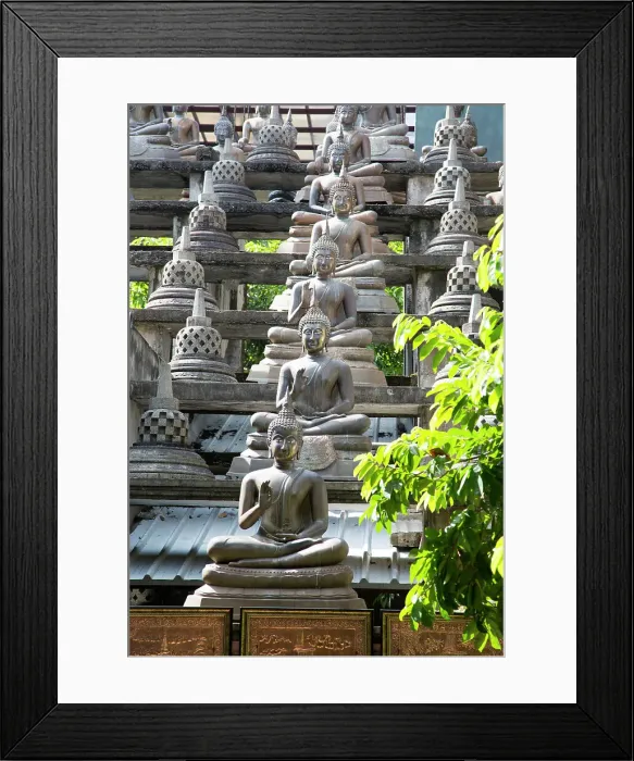 Framed Print : Buddha statues at Gangaramaya Buddhist Temple, Colombo, Sri Lanka, Asia