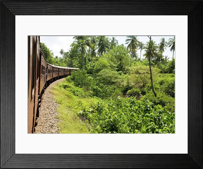 Framed Print : Railway train passing through countryside between Galle and Mirissa, Sri Lanka, Asia Framed Print : Railway train passing through countryside between Galle and Mirissa, Sri Lanka, Asia