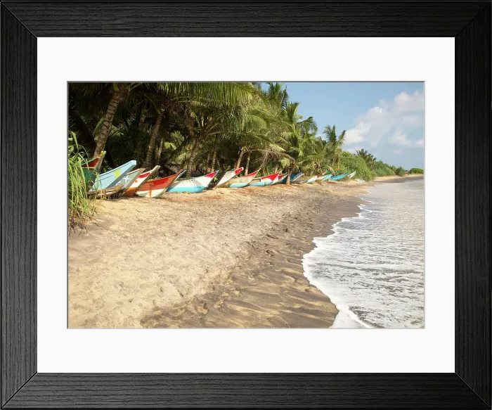 Framed Print : Brightly coloured fishing canoes under coconut palm trees of tropical sandy beach, Mirissa, Sri Lanka, Asia Framed Print : Brightly coloured fishing canoes under coconut palm trees of tropical sandy beach, Mirissa, Sri Lanka, Asia