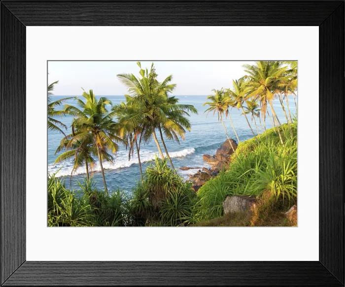 Framed Print : Tropical scenery of palm trees on a hillside by blue Indian Ocean, Mirissa, Sri Lanka, Asia Framed Print : Tropical scenery of palm trees on a hillside by blue Indian Ocean, Mirissa, Sri Lanka, Asia