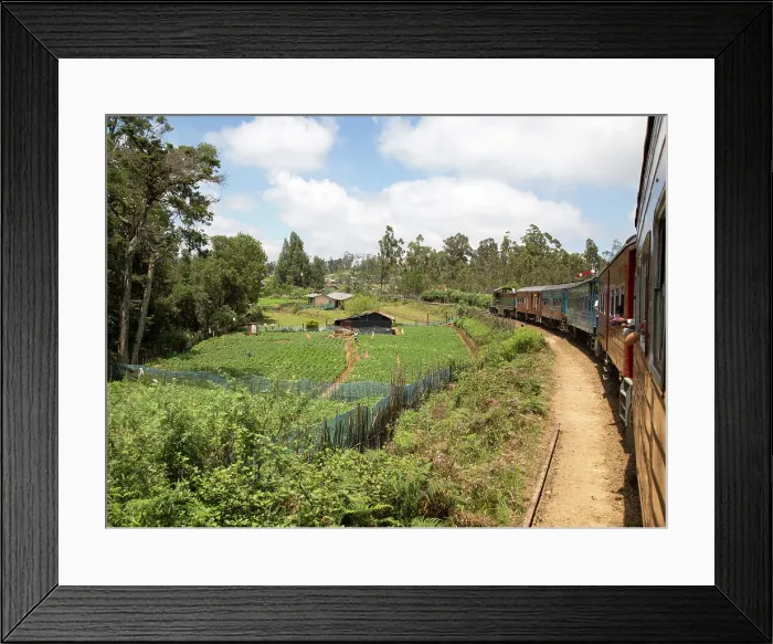 Framed Print : Train journey through countryside near Pittipola, Sri Lanka, Asia Framed Print : Train journey through countryside near Pittipola, Sri Lanka, Asia
