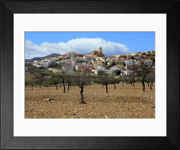 Framed Print : Fruit trees growing in farmland, village of Uleila del Campo, Almeria, Andalusia, Spain, Europe Framed Print : Fruit trees growing in farmland, village of Uleila del Campo, Almeria, Andalusia, Spain, Europe