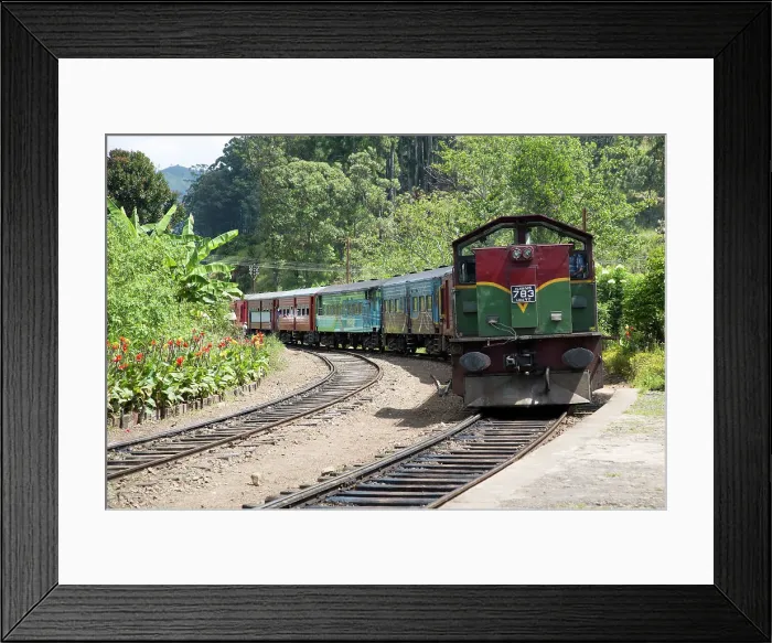 Framed Print : Train arriving at platform of railway station at Ella, Badulla District, Uva Province, Sri Lanka, Asia Framed Print : Train arriving at platform of railway station at Ella, Badulla District, Uva Province, Sri Lanka, Asia