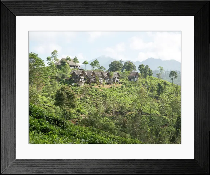 Framed Print : 98 Acres resort luxury lodges, Ella, Badulla District, Uva Province, Sri Lanka, Asia Framed Print : 98 Acres resort luxury lodges, Ella, Badulla District, Uva Province, Sri Lanka, Asia