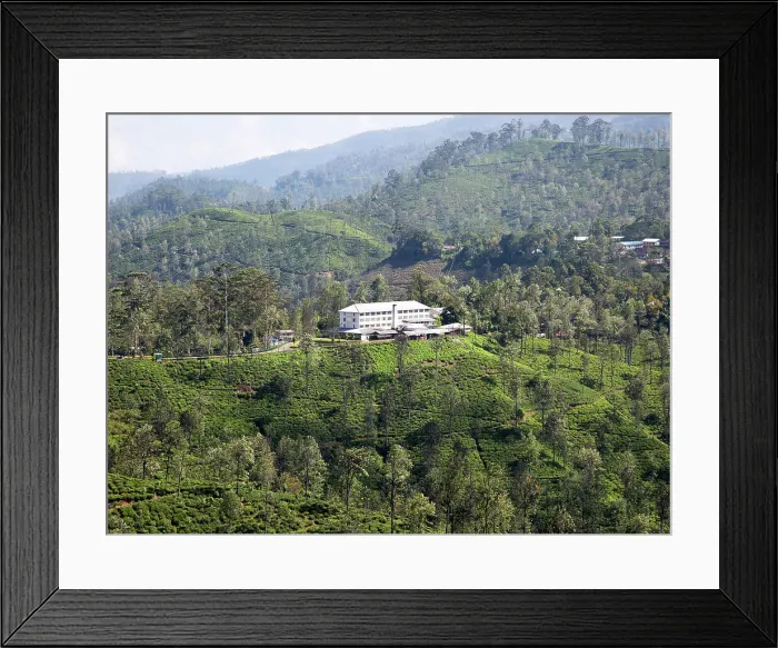 Framed Print : Newburgh tea factory and estate, Ella, Badulla District, Uva Province, Sri Lanka, Asia Framed Print : Newburgh tea factory and estate, Ella, Badulla District, Uva Province, Sri Lanka, Asia