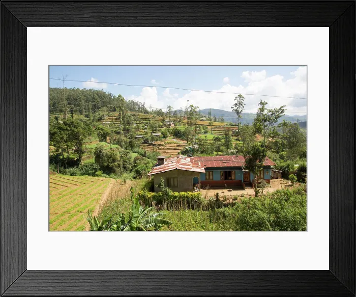 Framed Print : Intensive subsistence vegetable farming near Nuwara Eliya, Sri Lanka, Asia Framed Print : Intensive subsistence vegetable farming near Nuwara Eliya, Sri Lanka, Asia