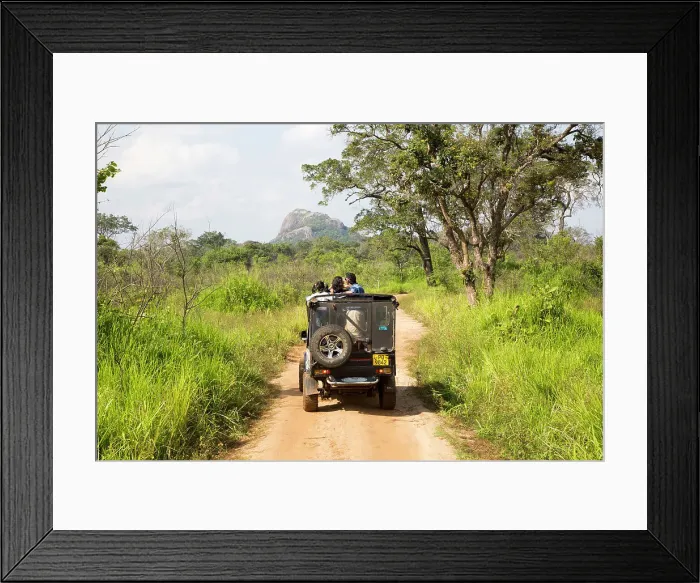 Framed Print : Tourists in vehicle on Elephant safari in Hurulu Eco Park biosphere reserve, Habarana, Anuradhapura District, Sri Lanka, Asia Framed Print : Tourists in vehicle on Elephant safari in Hurulu Eco Park biosphere reserve, Habarana, Anuradhapura District, Sri Lanka, Asia