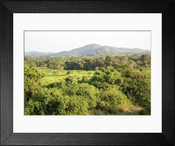 Framed Print : Landscape overview, Hurulu Eco Park biosphere reserve, Habarana, Anuradhapura District, Sri Lanka, Asia Framed Print : Landscape overview, Hurulu Eco Park biosphere reserve, Habarana, Anuradhapura District, Sri Lanka, Asia