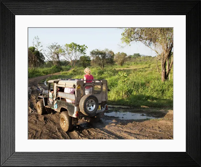 Framed Print : Elephant safari in Hurulu Eco Park biosphere reserve, Habarana, Anuradhapura District, Sri Lanka, Asia Framed Print : Elephant safari in Hurulu Eco Park biosphere reserve, Habarana, Anuradhapura District, Sri Lanka, Asia