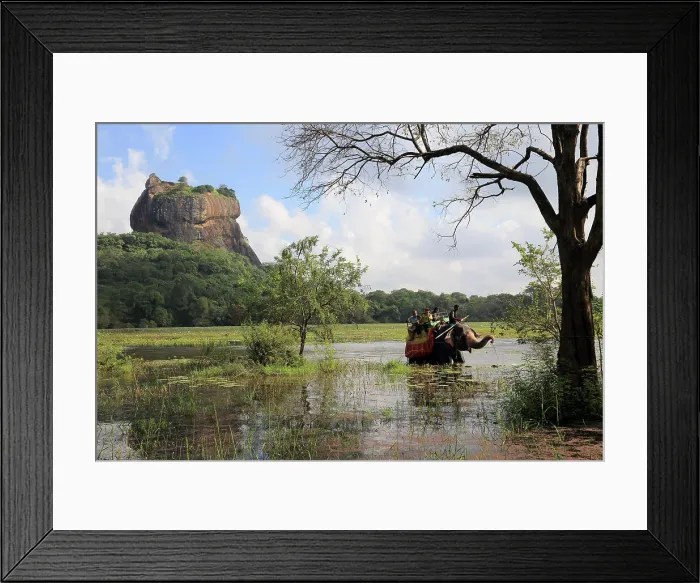 Framed Print : Elephant ride in lake by rock palace, Sigiriya, Central Province, Sri Lanka, Asia Framed Print : Elephant ride in lake by rock palace, Sigiriya, Central Province, Sri Lanka, Asia