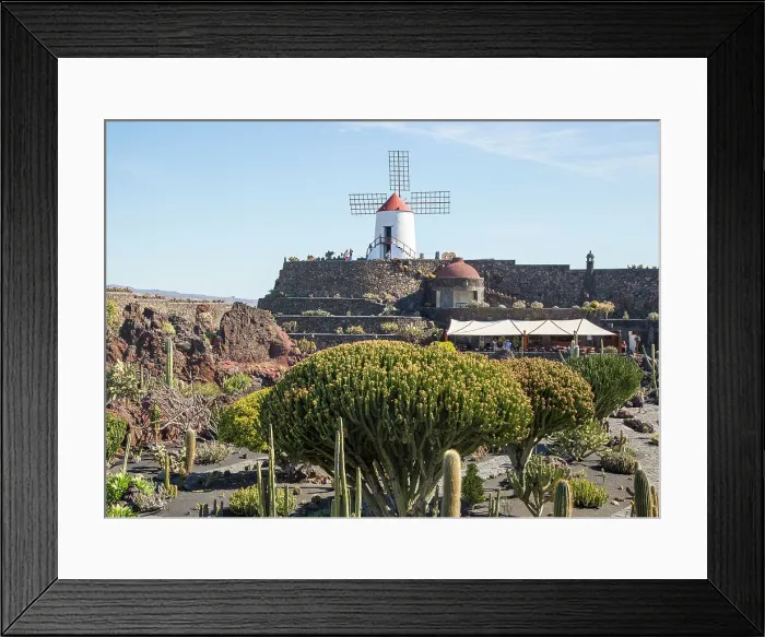 Framed Print : Cactus plants and windmill Jardin de Cactus designed by Cesar Manrique, Guatiza. Lanzarote, Canary Islands, Spain, Atlantic, Europe Framed Print : Cactus plants and windmill Jardin de Cactus designed by Cesar Manrique, Guatiza. Lanzarote, Canary Islands, Spain, Atlantic, Europe