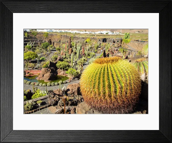 Framed Print : Jardin de Cactus designed by Cesar Manrique, Guatiza, Lanzarote, Canary Islands, Spain, Atlantic, Europe Framed Print : Jardin de Cactus designed by Cesar Manrique, Guatiza, Lanzarote, Canary Islands, Spain, Atlantic, Europe