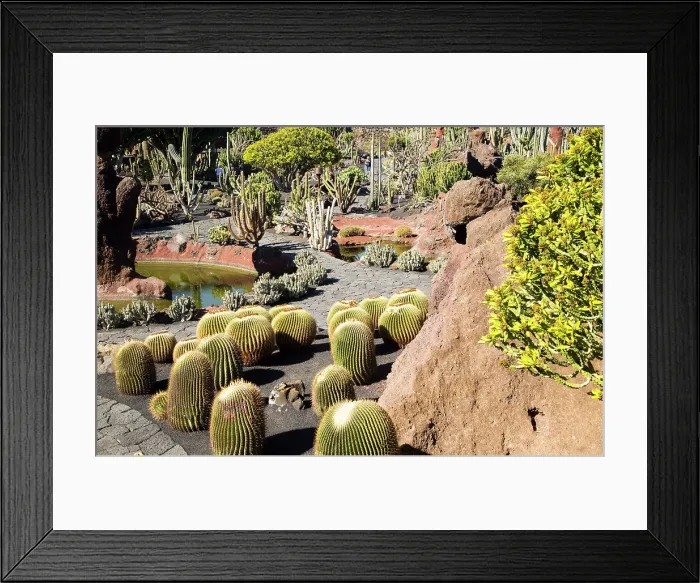 Framed Print : Cactus plants inside Jardin de Cactus designed by Cesar Manrique, Guatiza, Lanzarote, Canary Islands, Spain, Atlantic, Europe Framed Print : Cactus plants inside Jardin de Cactus designed by Cesar Manrique, Guatiza, Lanzarote, Canary Islands, Spain, Atlantic, Europe