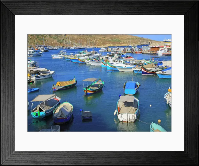 Framed Print : Colourful fishing boats in the harbour at port of Mgarr, island of Gozo, Malta, Mediterranean, Europe Framed Print : Colourful fishing boats in the harbour at port of Mgarr, island of Gozo, Malta, Mediterranean, Europe