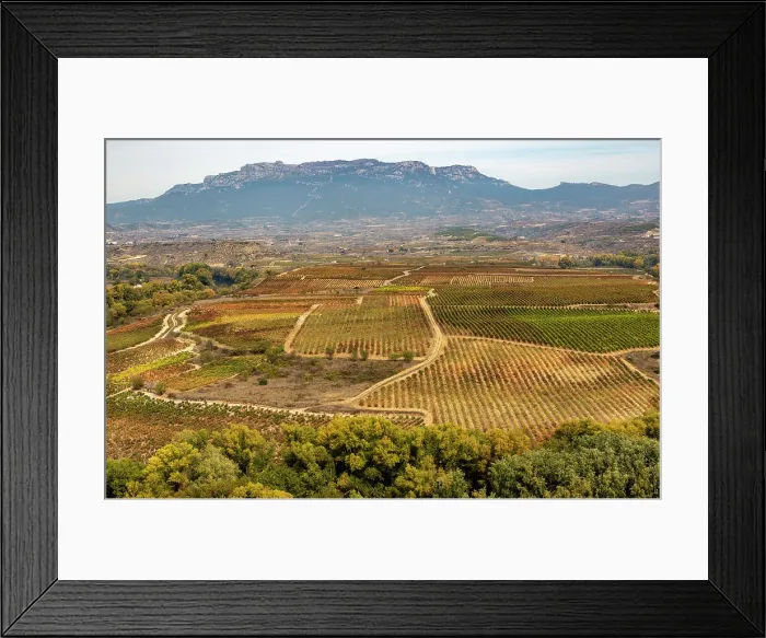 Framed Print : Autumn landscape looking over fields of grape vines, looking from Briones, La Rioja Alta, Spain, Europe Framed Print : Autumn landscape looking over fields of grape vines, looking from Briones, La Rioja Alta, Spain, Europe