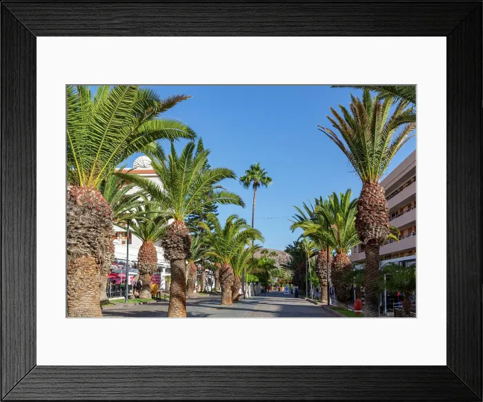 Framed Print : Sunny street lined with palm trees leading towards modern buildings under a clear blue sky in Los Cristianos, Tenerife, Canary Islands, Spain, Atlantic, Europe Framed Print : Sunny street lined with palm trees leading towards modern buildings under a clear blue sky in Los Cristianos, Tenerife, Canary Islands, Spain, Atlantic, Europe