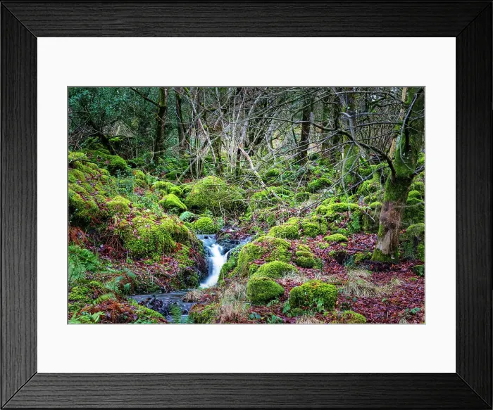 Framed Print : Stream with mossy rocks in a lush, green landscape in the Lake District, England, United Kingdom, Europe