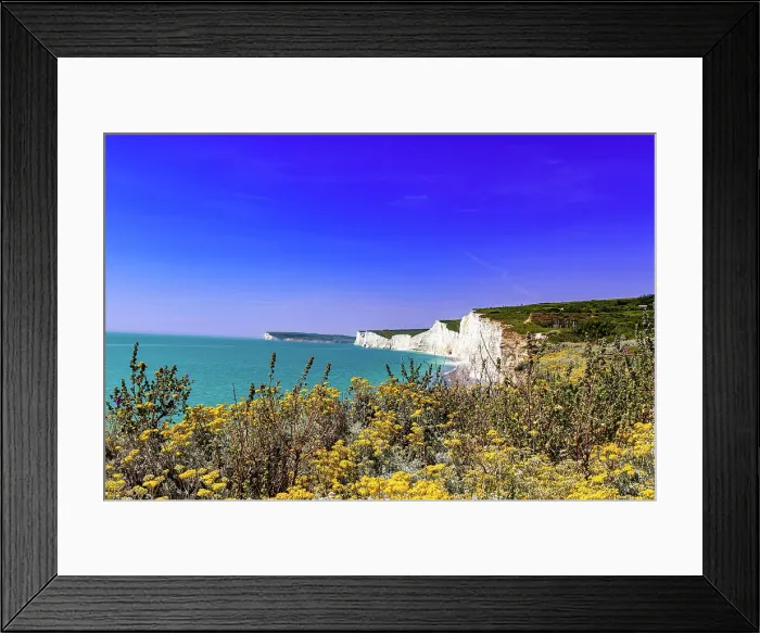 Framed Print : Scenic view of white cliffs by the sea with vibrant wildflowers in the foreground under a clear blue sky at Seven Sisters, South Downs National Park, East Sussex, England, United Kingdom, Europe Framed Print : Scenic view of white cliffs by the sea with vibrant wildflowers in the foreground under a clear blue sky at Seven Sisters, South Downs National Park, East Sussex, England, United Kingdom, Europe