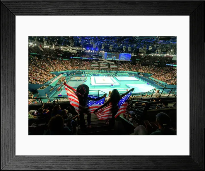 Framed Print : Patriotic American Women cheering on team usa gymnastics at the Paris 2024 Olympics, Bercy Arena, Paris, France, Europe Framed Print : Patriotic American Women cheering on team usa gymnastics at the Paris 2024 Olympics, Bercy Arena, Paris, France, Europe