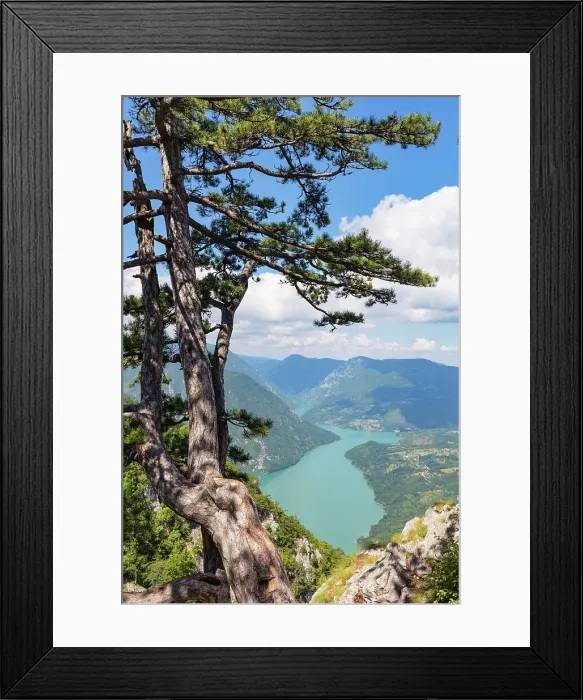Framed Print : Banjska Stena viewpoint, Tara National Park, Serbia, Europe Framed Print : Banjska Stena viewpoint, Tara National Park, Serbia, Europe