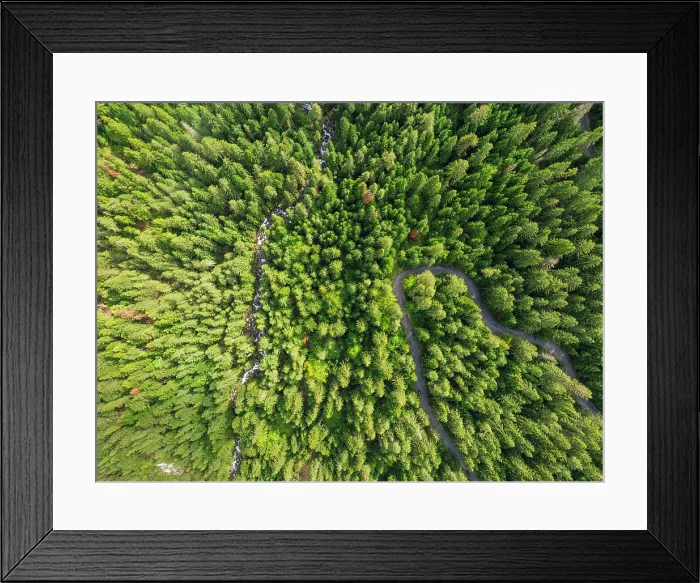Framed Print : Aerial view of forest near Bansko, Pirin National Park, UNESCO World Heritage Site, Bulgaria, Europe Framed Print : Aerial view of forest near Bansko, Pirin National Park, UNESCO World Heritage Site, Bulgaria, Europe