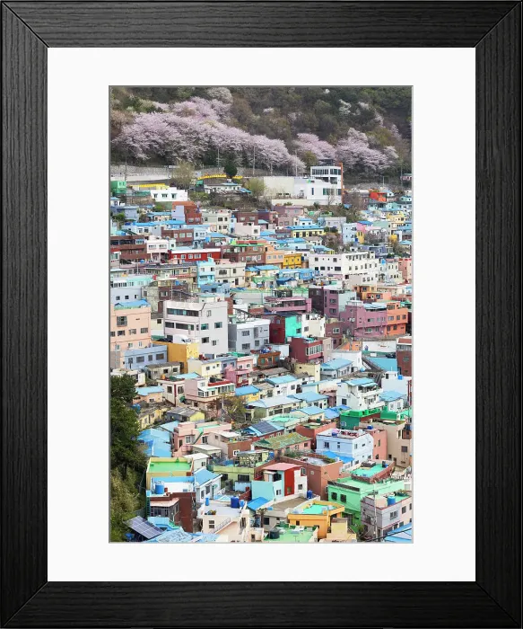 Framed Print : Colourful houses of Gamcheon Culture Village, Busan, South Korea, Asia Framed Print : Colourful houses of Gamcheon Culture Village, Busan, South Korea, Asia
