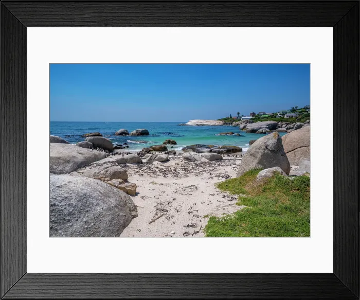 Framed Print : View of African penguins on Boulders Beach, Seaforth, Table Mountain National Park, Cape Town, Western Cape, South Africa, Africa Framed Print : View of African penguins on Boulders Beach, Seaforth, Table Mountain National Park, Cape Town, Western Cape, South Africa, Africa