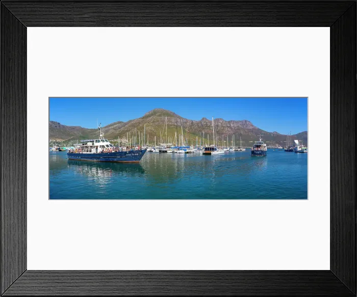 Framed Print : View of glass bottom boat leaving Hout Bay Harbour, Hout Bay, Cape Town, Western Cape, South Africa, Africa Framed Print : View of glass bottom boat leaving Hout Bay Harbour, Hout Bay, Cape Town, Western Cape, South Africa, Africa