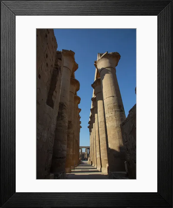 Framed Print : Colonnade of Amenhotep III, Luxor Temple, UNESCO World Heritage Site, Luxor, Egypt, North Africa, Africa Framed Print : Colonnade of Amenhotep III, Luxor Temple, UNESCO World Heritage Site, Luxor, Egypt, North Africa, Africa