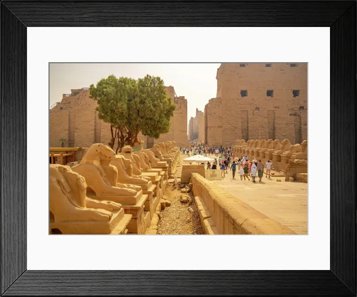 Framed Print : View of Ram headed sphinxes leading up to the first pylon at Karnak Temple, Karnak, Thebes, UNESCO World Heritage Site, Egypt, North Africa, Africa Framed Print : View of Ram headed sphinxes leading up to the first pylon at Karnak Temple, Karnak, Thebes, UNESCO World Heritage Site, Egypt, North Africa, Africa