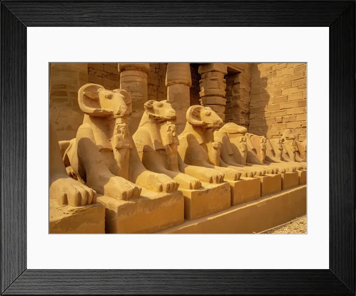 Framed Print : View of Ram headed sphinxes leading up to Ramesses III Temple at Karnak Temple, Karnak, Thebes, UNESCO World Heritage Site, Egypt, North Africa, Africa Framed Print : View of Ram headed sphinxes leading up to Ramesses III Temple at Karnak Temple, Karnak, Thebes, UNESCO World Heritage Site, Egypt, North Africa, Africa
