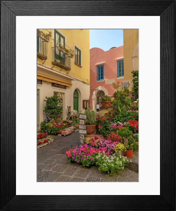 Framed Print : View of flower display outside florists in street, Capri Town, Isle of Capri, Campania, Italy, Mediterranean, Europe Framed Print : View of flower display outside florists in street, Capri Town, Isle of Capri, Campania, Italy, Mediterranean, Europe