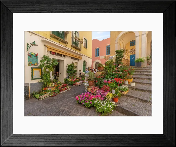 Framed Print : View of flower display outside florists in street, Capri Town, Isle of Capri, Campania, Italy, Mediterranean, Europe Framed Print : View of flower display outside florists in street, Capri Town, Isle of Capri, Campania, Italy, Mediterranean, Europe