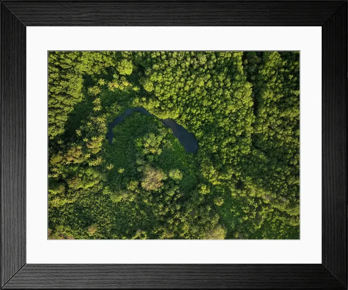 Framed Print : Aerial of trees near Uvita Beach, Marino Ballena National Park, Costa Rica, Central America