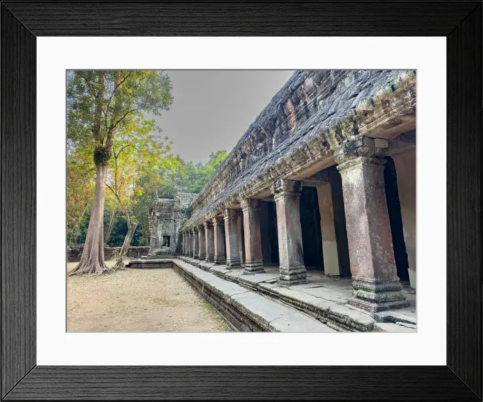 Framed Print : Ta Prohm Temple, a Mahayana Buddhist monastery built in the late 12th century for Khmer king Jayavarman VII, Angkor, UNESCO World Heritage Site, Cambodia, Indochina, Southeast Asia, Asia Framed Print : Ta Prohm Temple, a Mahayana Buddhist monastery built in the late 12th century for Khmer king Jayavarman VII, Angkor, UNESCO World Heritage Site, Cambodia, Indochina, Southeast Asia, Asia