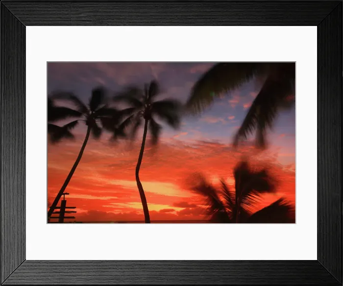 Framed Print : Palm trees and sunset, Edgewater Resort, Rarotonga, Cook Islands, South Pacific, Pacific Framed Print : Palm trees and sunset, Edgewater Resort, Rarotonga, Cook Islands, South Pacific, Pacific