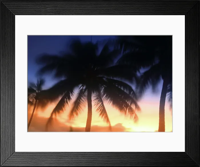 Framed Print : Sunset and palm trees, Edgewater Resort, Rarotonga, Cook Islands, South Pacific, Pacific Framed Print : Sunset and palm trees, Edgewater Resort, Rarotonga, Cook Islands, South Pacific, Pacific