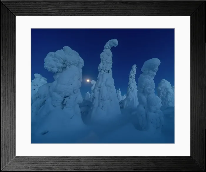 Framed Print : Full moon rising over snow covered winter landscape at twilight, tykky, Kuntivaara Fell, Finland, Europe Framed Print : Full moon rising over snow covered winter landscape at twilight, tykky, Kuntivaara Fell, Finland, Europe